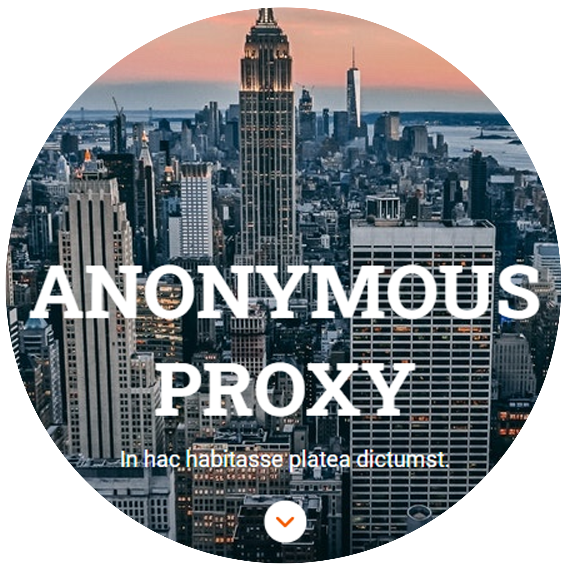 Anonymous Proxy